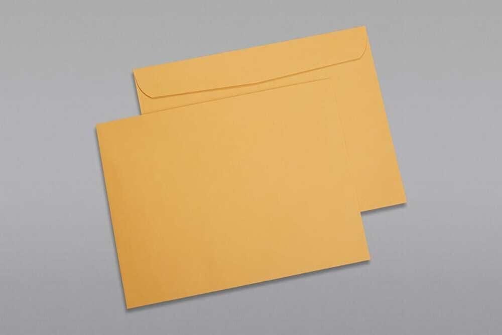 Limited Papers (TM) Booklet Envelopes, (Open Side) Brown Kraft, Gummed Seal, 28 Pound, Heavyweight, For Mailing And More. (500, 9 x 12)