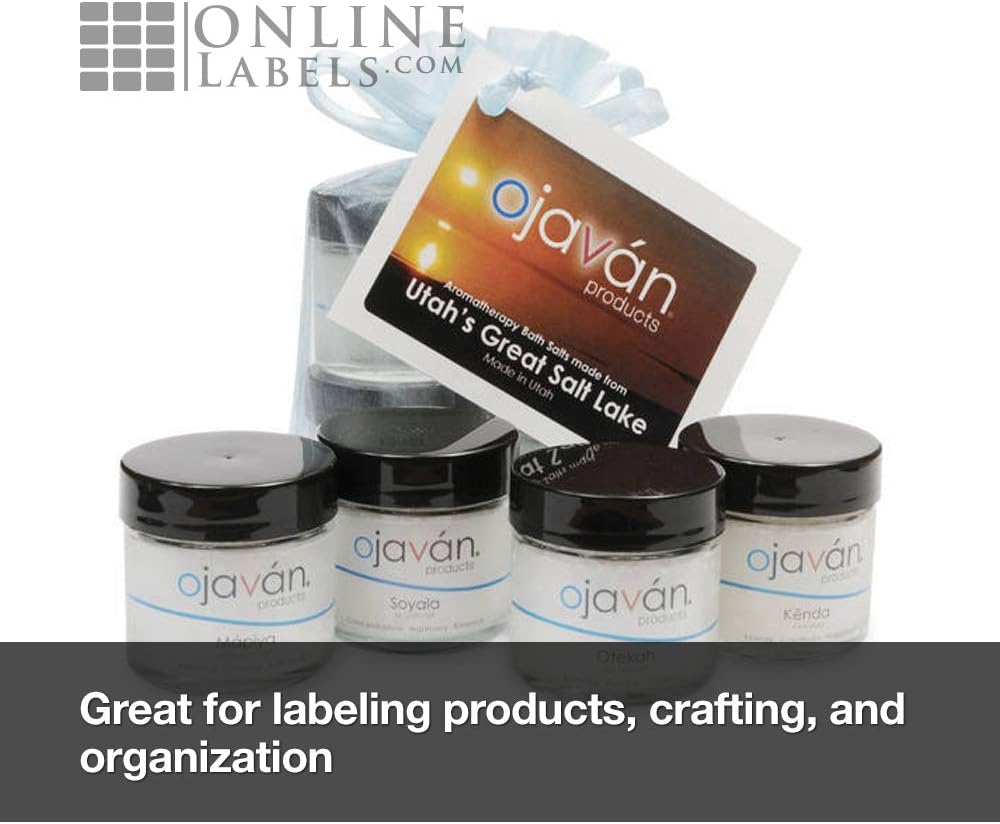 2.625" x 1" Waterproof Clear Gloss Address Labels - Pack of 750 Transparent Labels, 25 Sheets - Compatible with Laser Printers, OL875CL, OnlineLabels