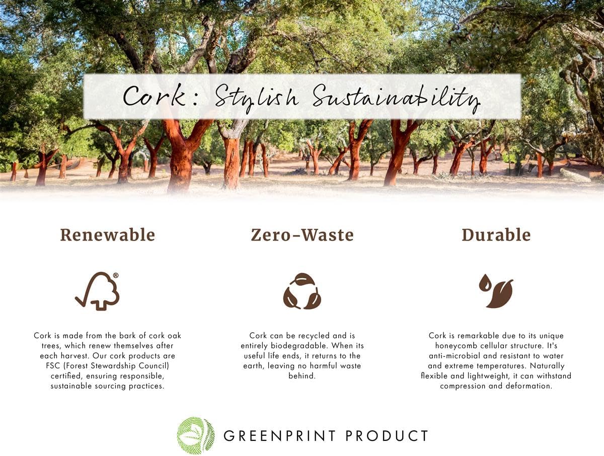 Enclosed Bulletin Board 76 x 28-1/16 x 18 Inch Brushed Silver Aluminum Frame and Pole Floor Standing Corkboard with 24 x 36 Inch Area