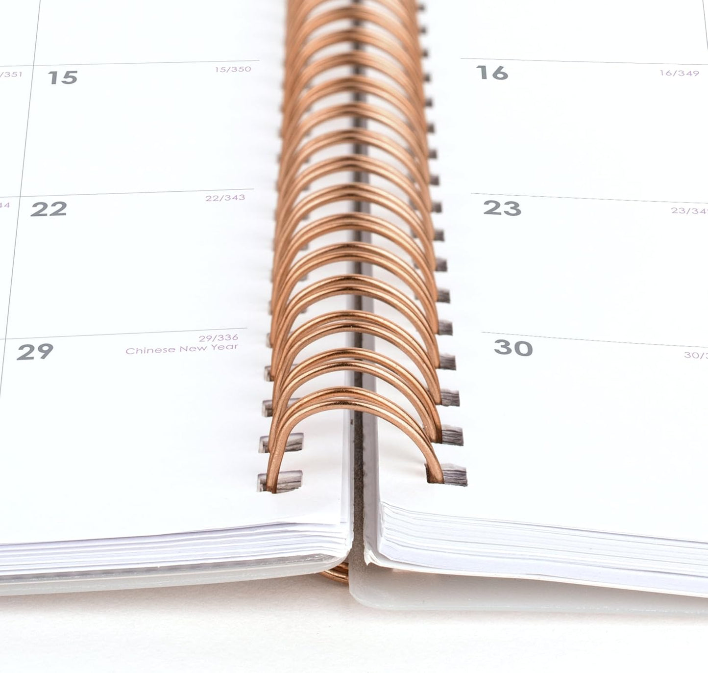 Cambridge 2026 Planner, Weekly & Monthly, 8-1/2" x 11", Large, Mina (1134-905-26)