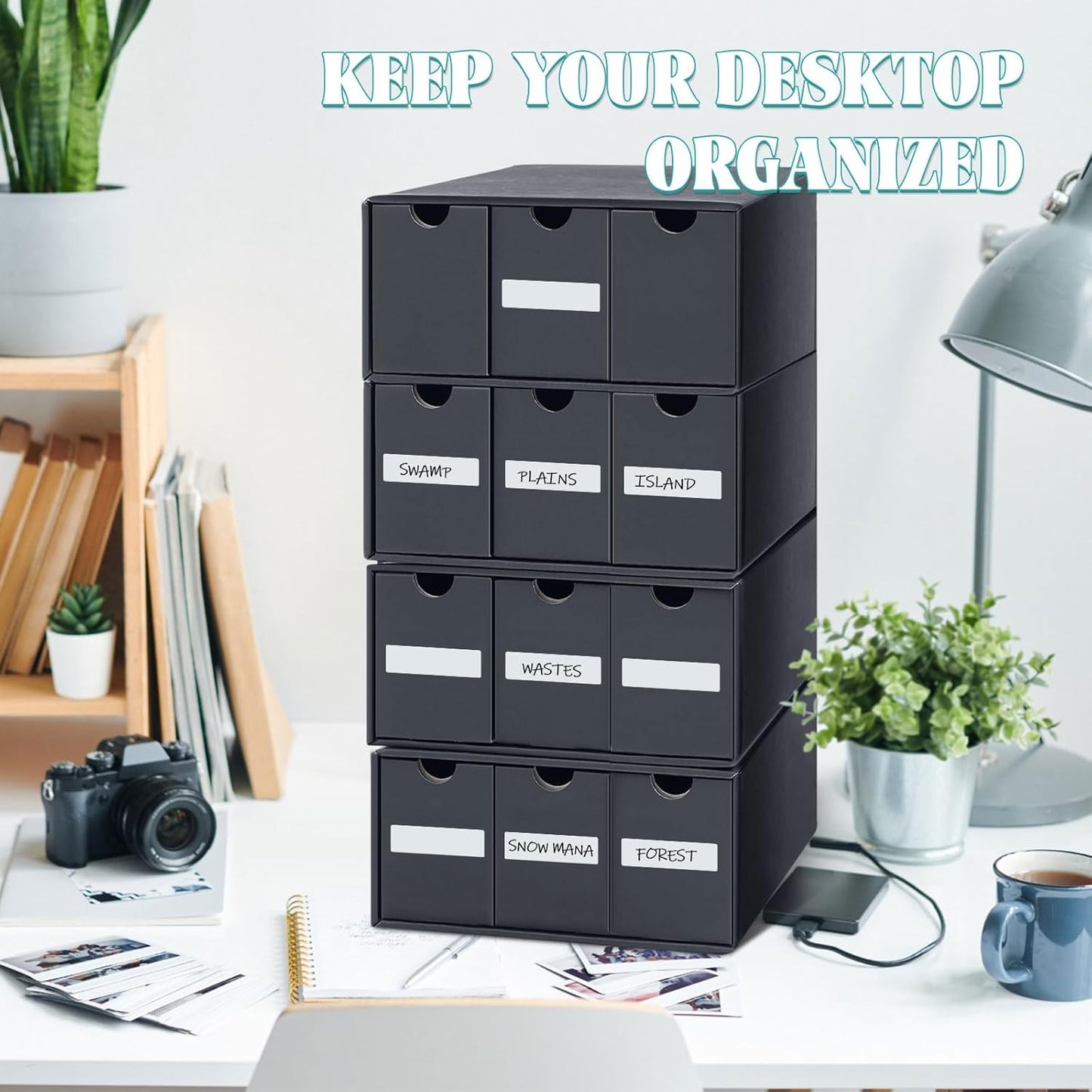 Cholemy Trading Card Storage Box 15000+ with 70 Cardboard Storage Divider, Label Sticker for Collection Compatible with TCG, Sport Cards(4 Row, 3 in A Row,Black)