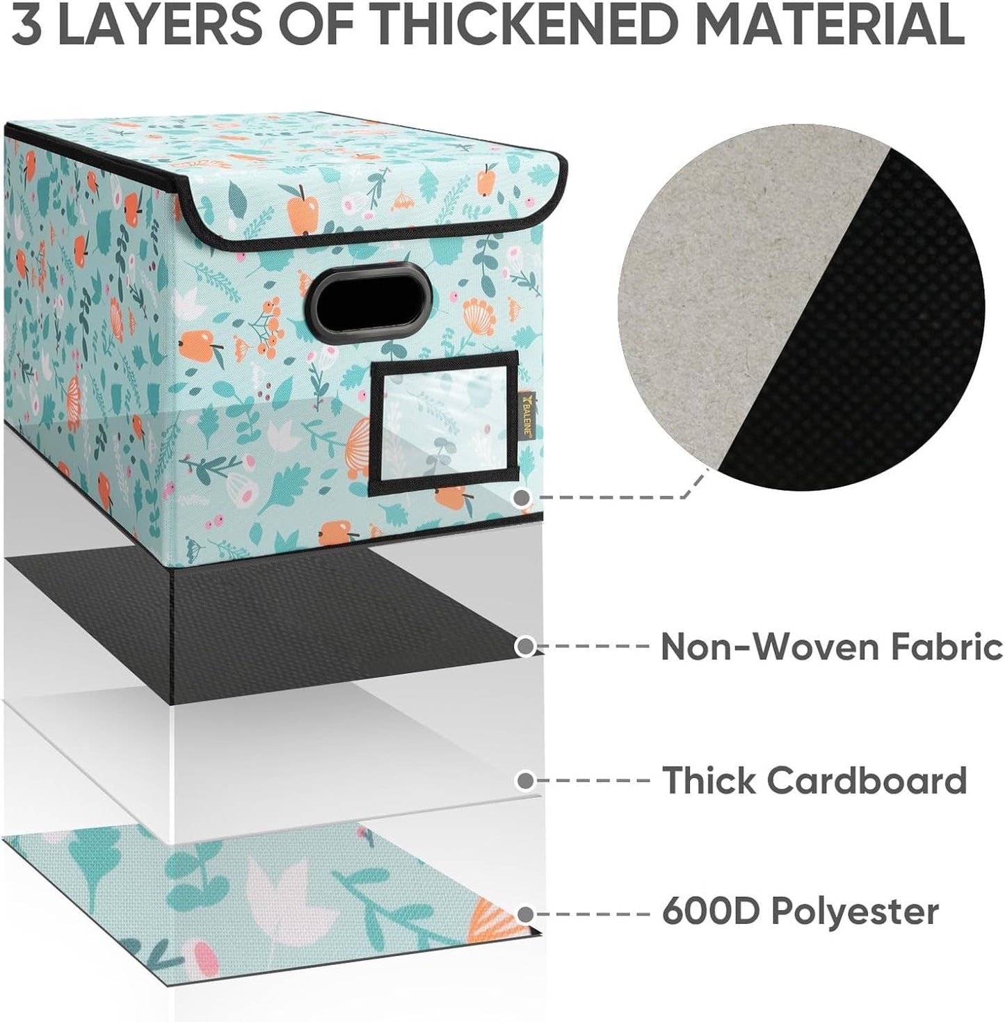 BALEINE File Organizer Box with Lid, Collapsible File Folder Organizer with Plastic Slide, Hanging File Folder Box for Office Document Storage (2 Pack, Spring Stroll)