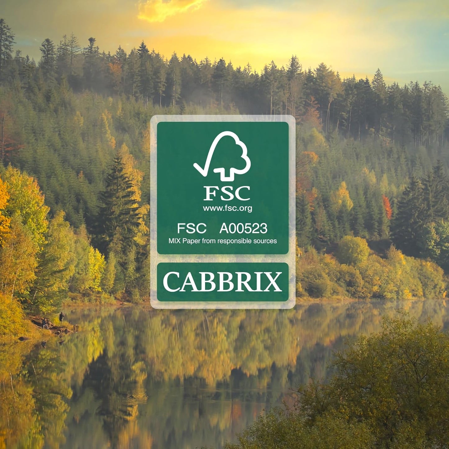 Desk Calendar 2025-2026 with Desktop Mat, Cabbrix Large Desk Pad Calendar 22 x 17 Inch Runs From July 2025 to December 2026, Floral Design Calendar 2025 for Home School and Office (Apricot)