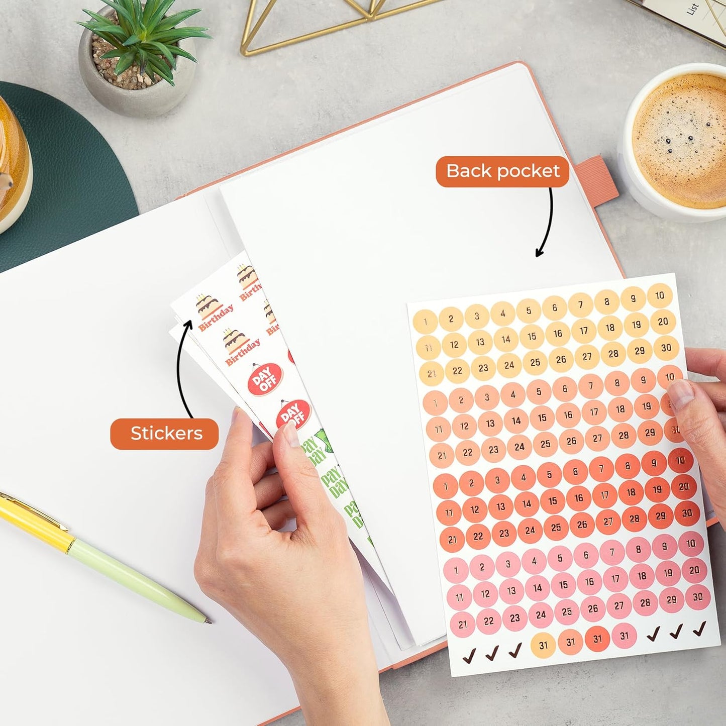 Clever Fox Appointment Book – Hourly Schedule Planner with 15-Minute Increments – Time Box Planner for Daily Work & To-Dos – Weekly & Monthly Spreads, Undated, Hardcover, 8.3x11″ (Terracotta)