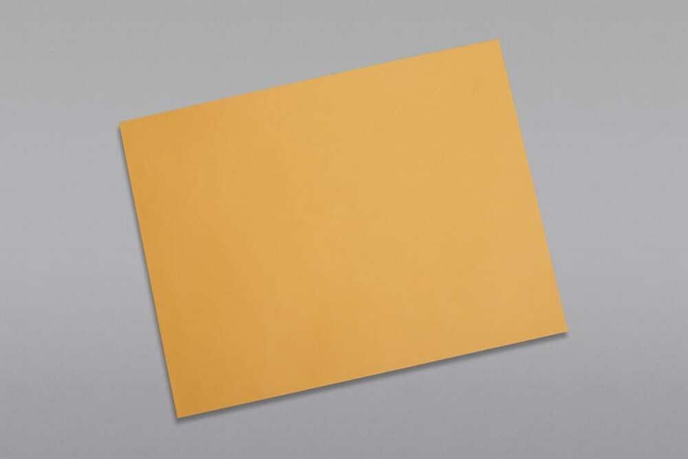 Limited Papers (TM) Booklet Envelopes, (Open Side) Brown Kraft, Gummed Seal, 28 Pound, Heavyweight, For Mailing And More. (1000, 9.5 x 12)