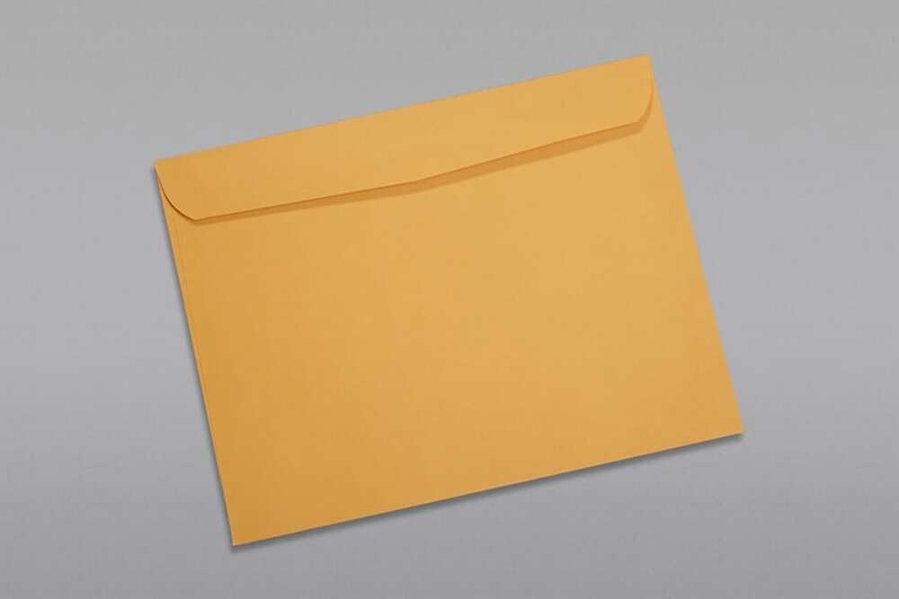 Limited Papers (TM) Booklet Envelopes, (Open Side) Brown Kraft, Gummed Seal, 28 Pound, Heavyweight, For Mailing And More. (250, 10 x 15)