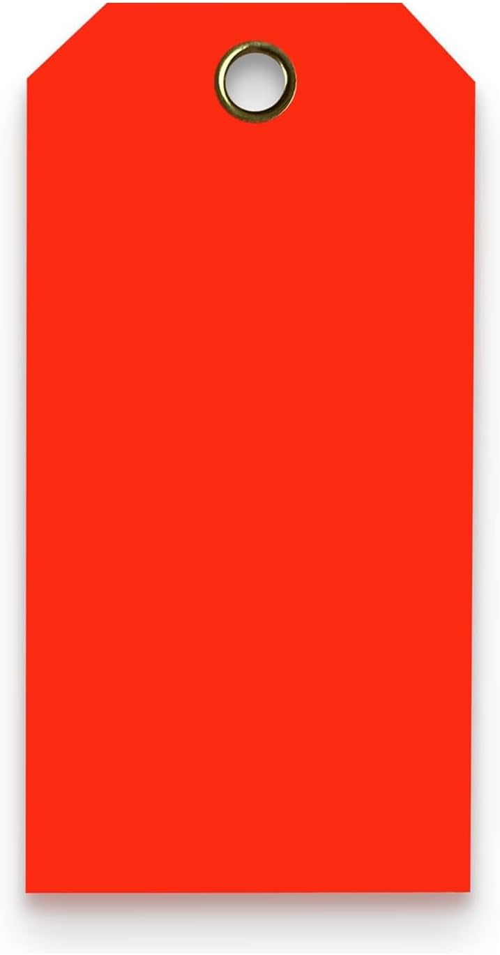 Tags 4 Less 15 Mil Waterproof Plastic Tags, Pack of 100 – 3” x 6” Heavy Duty Plastic Tags for Labeling, Outdoor Tagging, Equipment Labeling, Luggage, Valves & More (Fluorescent Orange/Red)