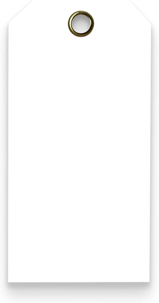 Tags 4 Less 15 Mil Waterproof Plastic Tags, Pack of 100 – 4” x 8” Heavy Duty Plastic Tags for Labeling, Outdoor Tagging, Equipment Labeling, Luggage, Valves & More (White)