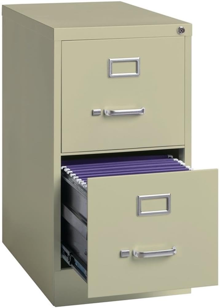 Pemberly Row 2 Drawers 28.38" Vertical Beige Metal Filing Cabinet Lockable Pre-Assembled Stationary Letter Size for Home, Office