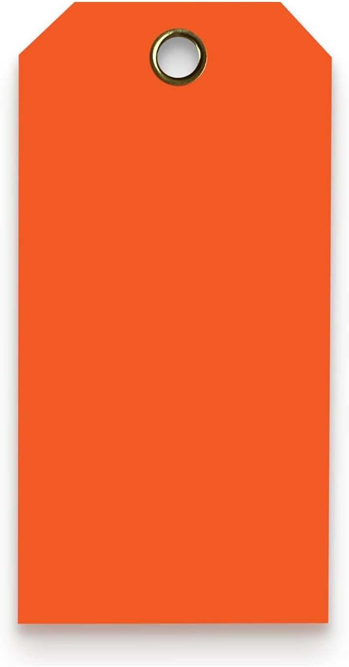 Tags 4 Less 15 Mil Waterproof Plastic Tags, Pack of 100 – 3” x 6” Heavy Duty Plastic Tags for Labeling, Outdoor Tagging, Equipment Labeling, Luggage, Valves & More (Orange)