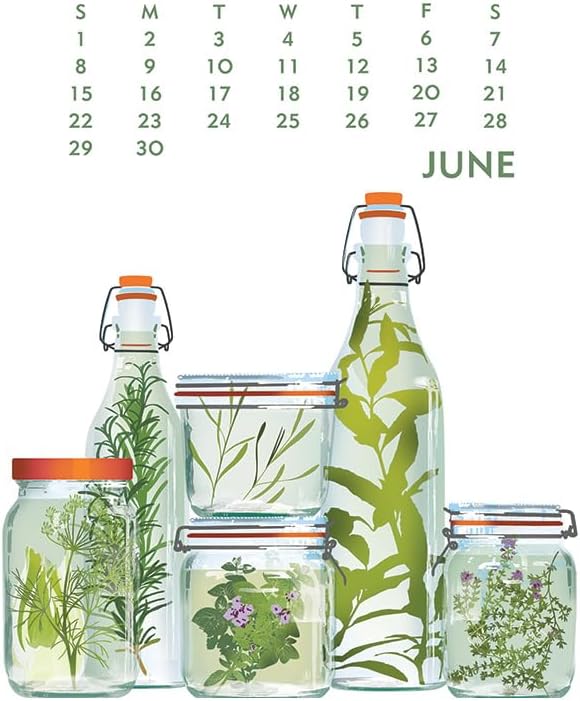 Linnea Design 2025 Desktop Calendar 5 x 7" Artwork by Johanna Riley