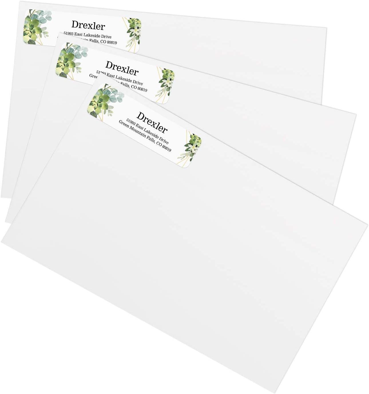 Greenery Frames Rolled Address Labels/Roll of 250 Personalized Address Labels/Designer Return Address Stickers in Elegant Plastic Dispenser