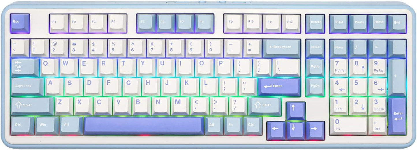 EPOMAKER TH99 Wireless Mechanical Keyboard with Lubed Silent Switch, Quiet Gaming Keyboard, 8000mAh,Creamy Gasket,RGB Backlit,Numpad,PBT Keycap,Hot Swappable,for Gamers/Office (Blue&White)