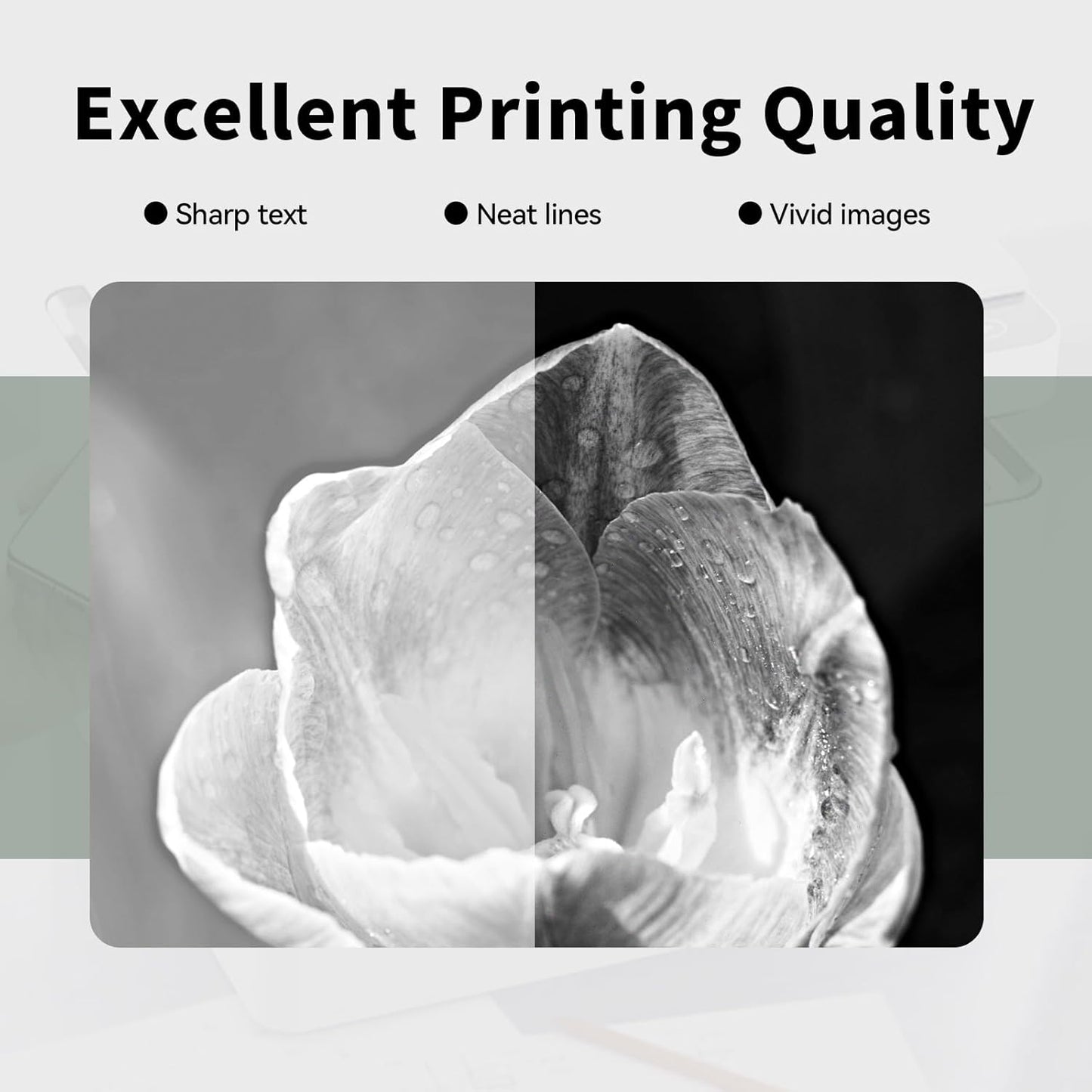 55B1000 Black Toner Cartridges (with chip) High Yield Replacement for Lexmark 55B1000 Cartridge for MS331dn MS431dn MS431dw MX331adn MX431adn MX431adw MX432adwe Printer Ink (1 Pack, 3000 pages)