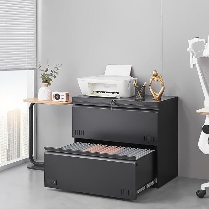 2 Drawer File Cabinet, File Cabinets for Home Office, Printer Stand, File Cabinet with Lock, Lateral Filing Cabinet for A4/Letter/Legal Size File Folders, Assembly Required(Black)