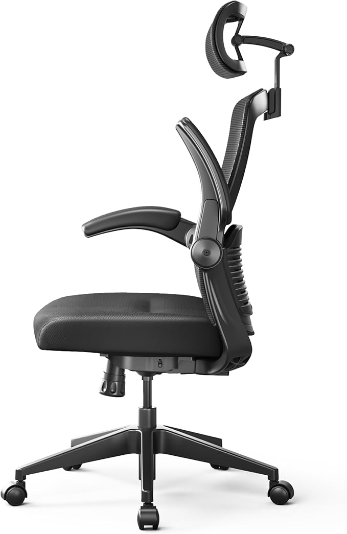 FLEXISPOT OC3 Pro Ergonomic Office Chair High Back Computer Chair with Flexible Flip-up Armrest/8-Level Lumbar Support, High Elastic Foam Seat Cushion, Chairs for Home Office Working Studying, Black