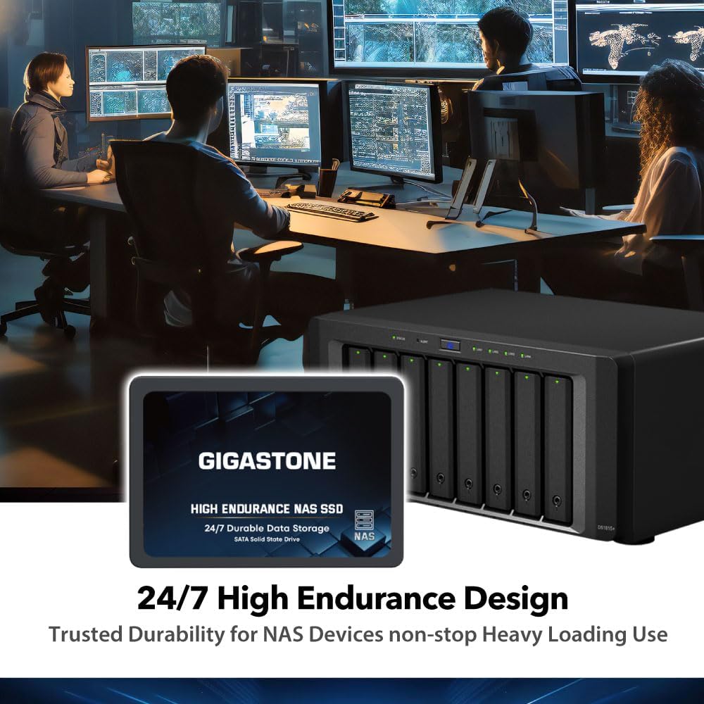 Gigastone 512GB NAS SSD Drive (2-Pack) 24/7 Durable TLC High Endurance RAID Data Storage Network Attached Storage 2.5" SATA Internal Solid State Hard Drives