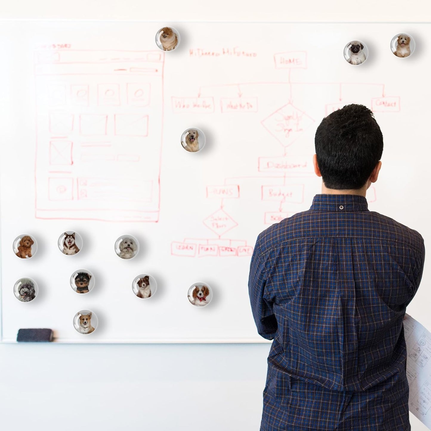 12Pcs Glass Refrigerator Magnet Fridge Sticker,Dog Fridge Magnets Decoration for Crafts,Strong Fridge Magnets for Kitchen, School,Office Whiteboard, Cabinet and Dishwasher