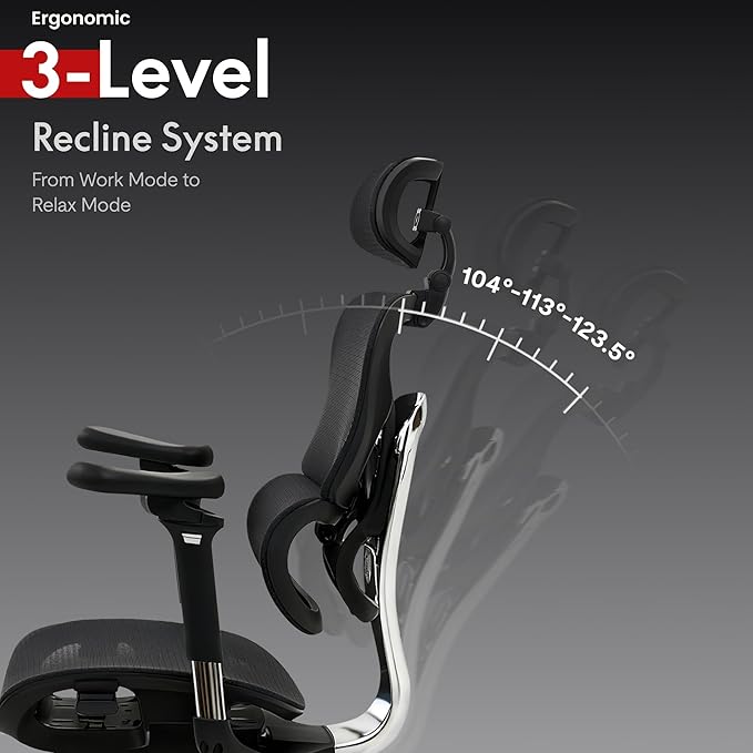 FLEXISPOT ErgoX Max Ergonomic Office Chair Black - Aluminum Alloy Frame & Base, 661 lb Capacity, 5D Armrests, 4D Adaptive Lumbar & 4D Headrest