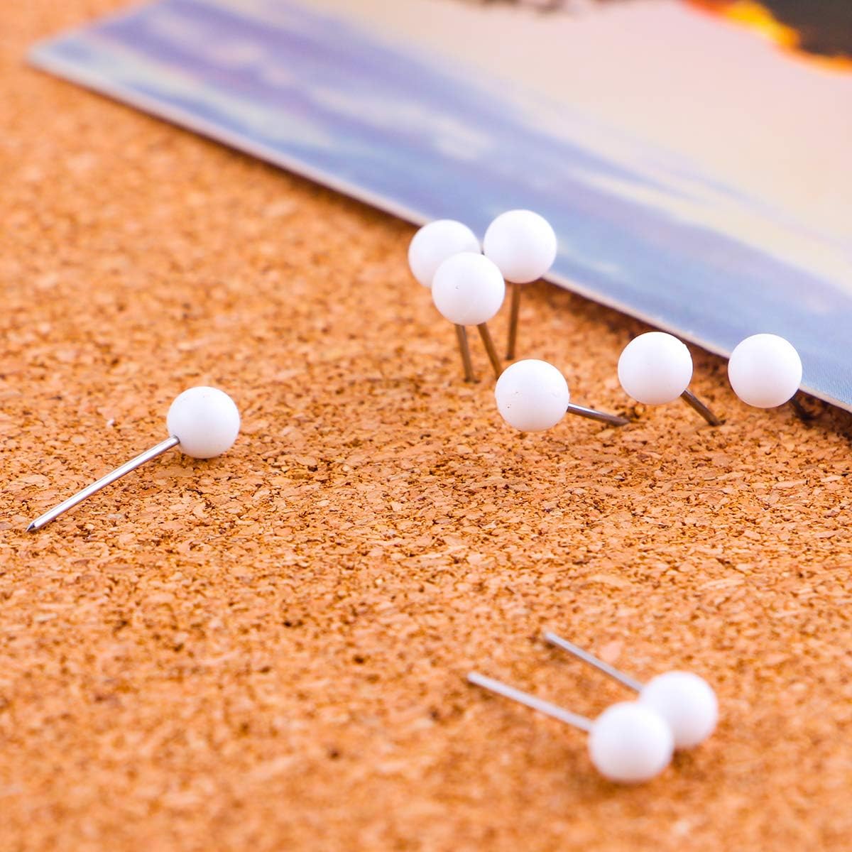 Yalis Push Pins Map Tacks 1/8-Inch Assorted Color Beads Head Map Marking Push Pins,500-count (White)