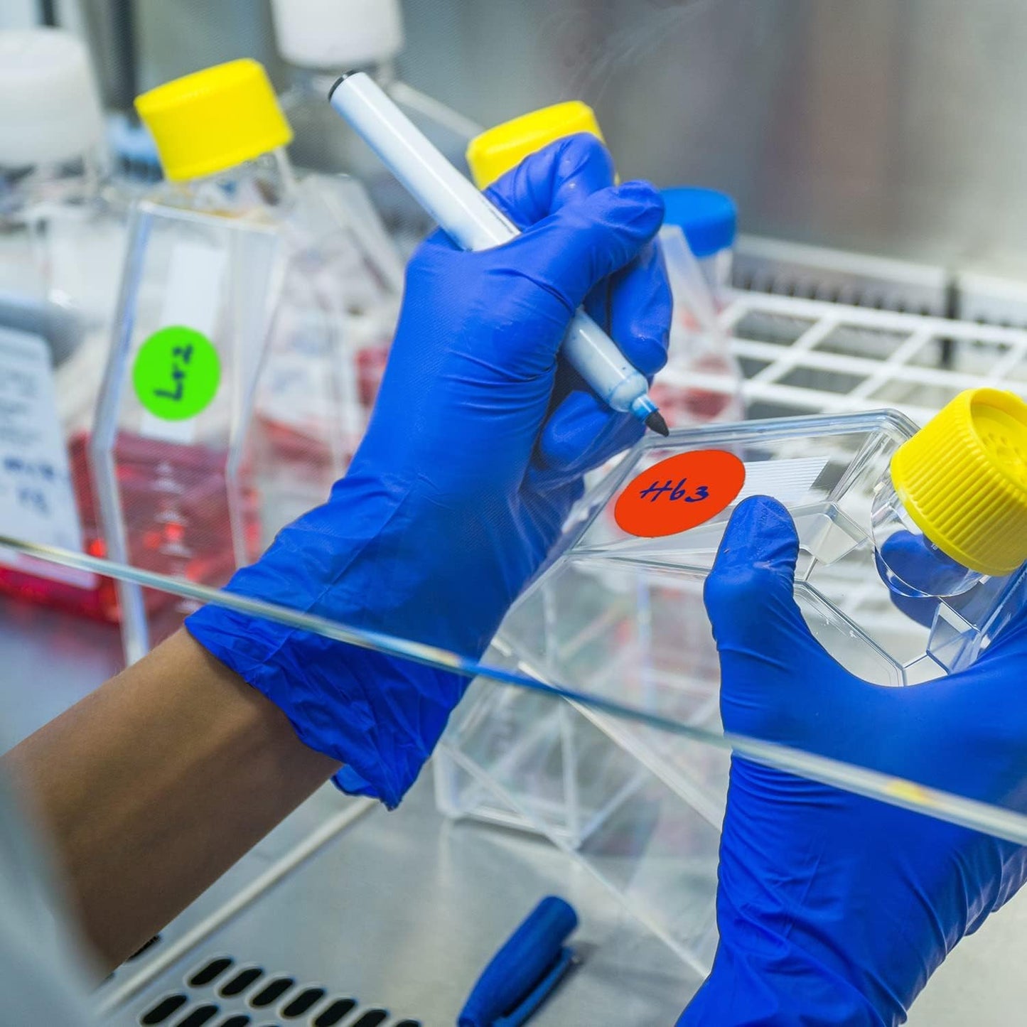 ChromaLabel 2 Inch Round Colored Stickers, Permanent Sticky Dots Color Coding Labels, Dot Stickers for Office and School Projects - 500 Dot Labels per Roll, Light Blue Sticker Dots - Case of 5