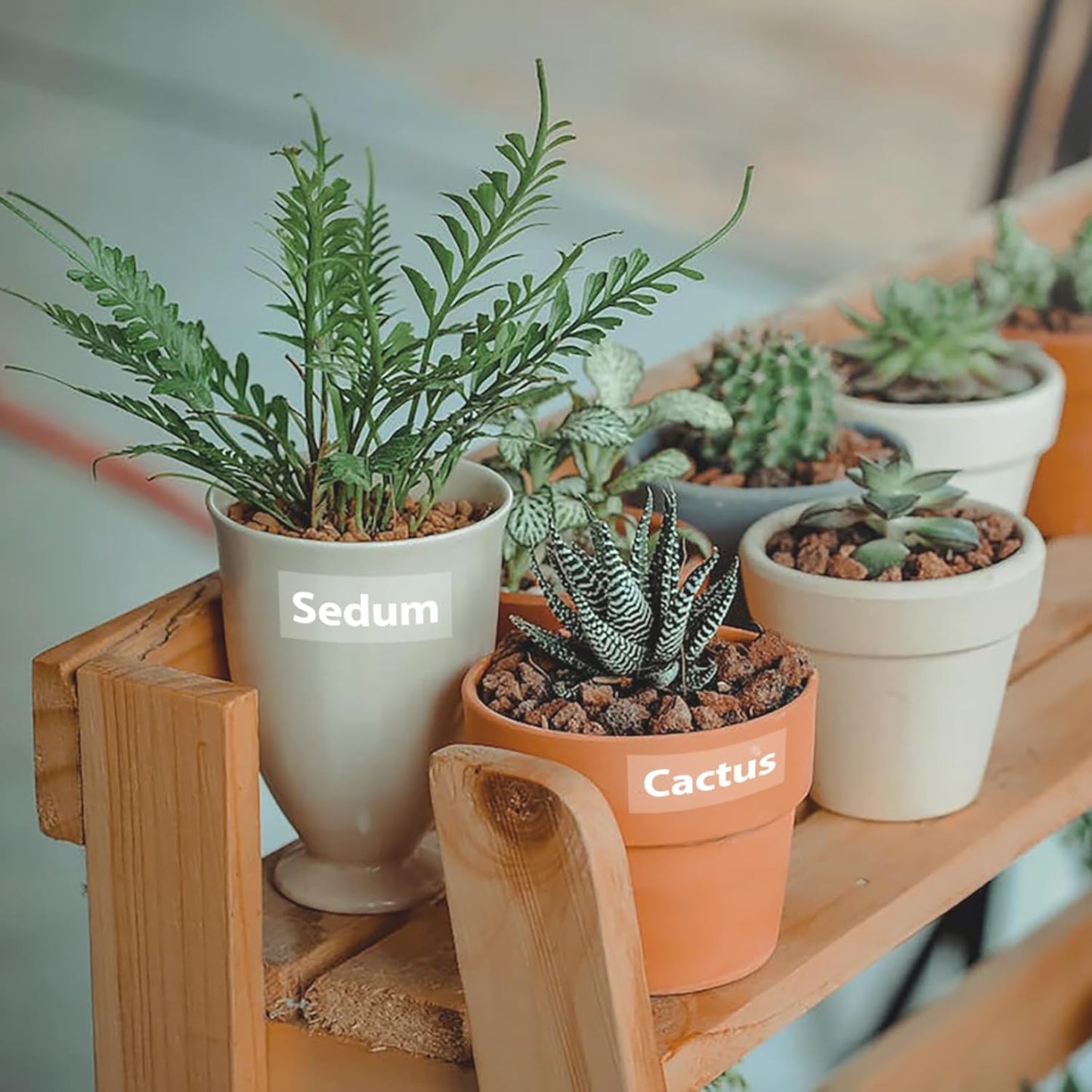 Label KINGDOM 18mm White on Clear Tape Replacement for Brother TZe-145 TZe145 3/4" TZ Tape 18mm 0.7 Laminated Clear Compatible with Brother P Touch TZe for PTD400 PTD410 PTD600, 3-Pack