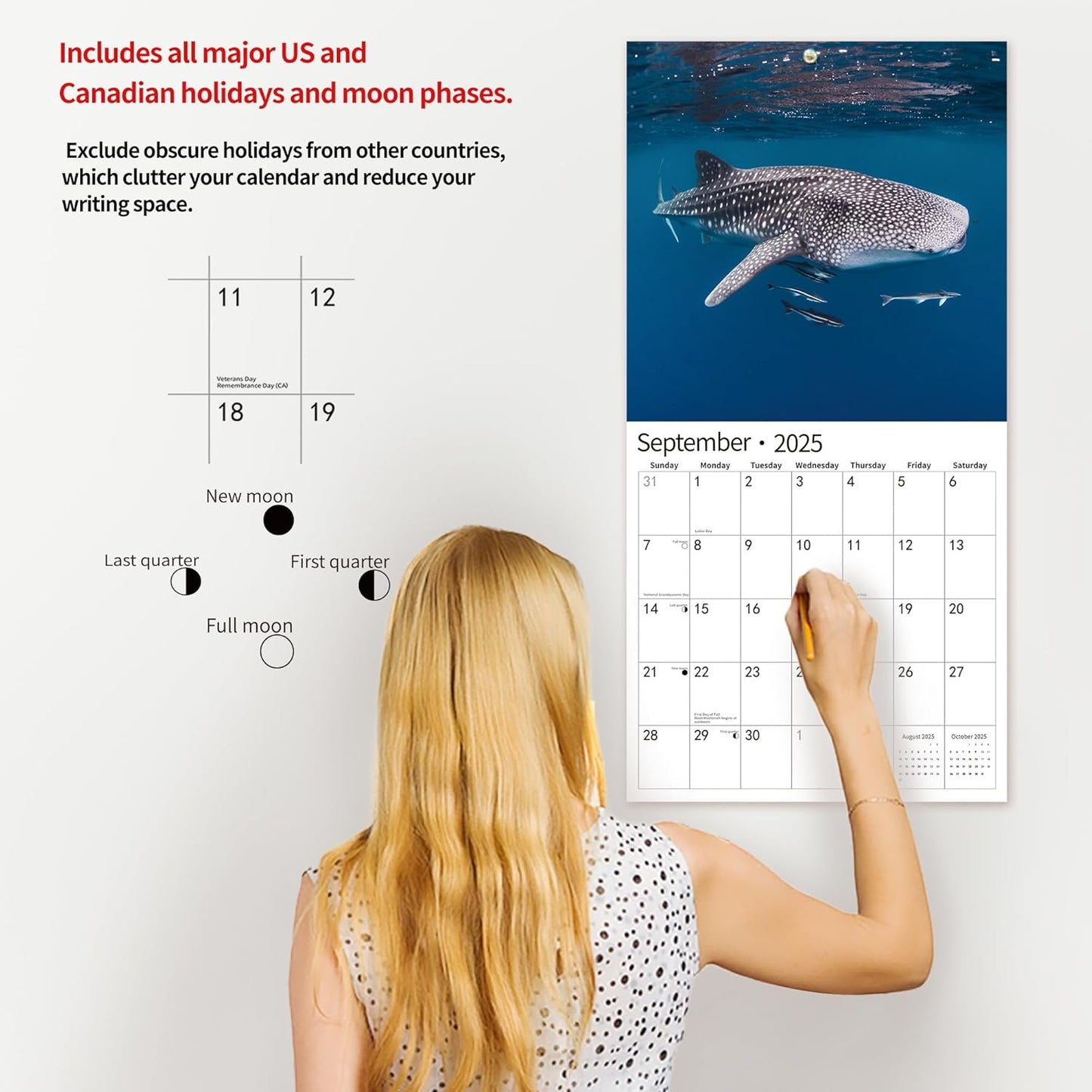 2025 Wall Calendar,Calendar 2025, January 2025 - December 2025, Wall Calendar Shark, 12" x 24" Opened,Full Page Months Thick & Sturdy Paper for Gift Perfect Calendar Organizing & Planning