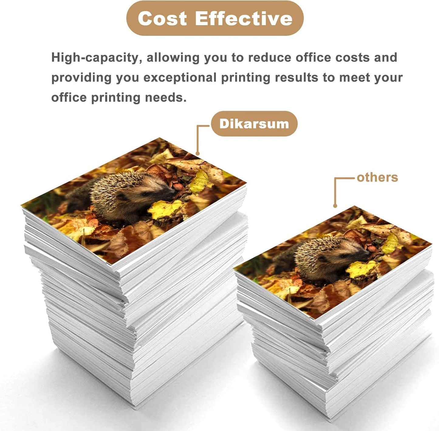 T850 Ink Cartridge Remanufactured T8508 T850800 Ink Cartridge Replacement for Surecolor P800 Printer(Matte Black)