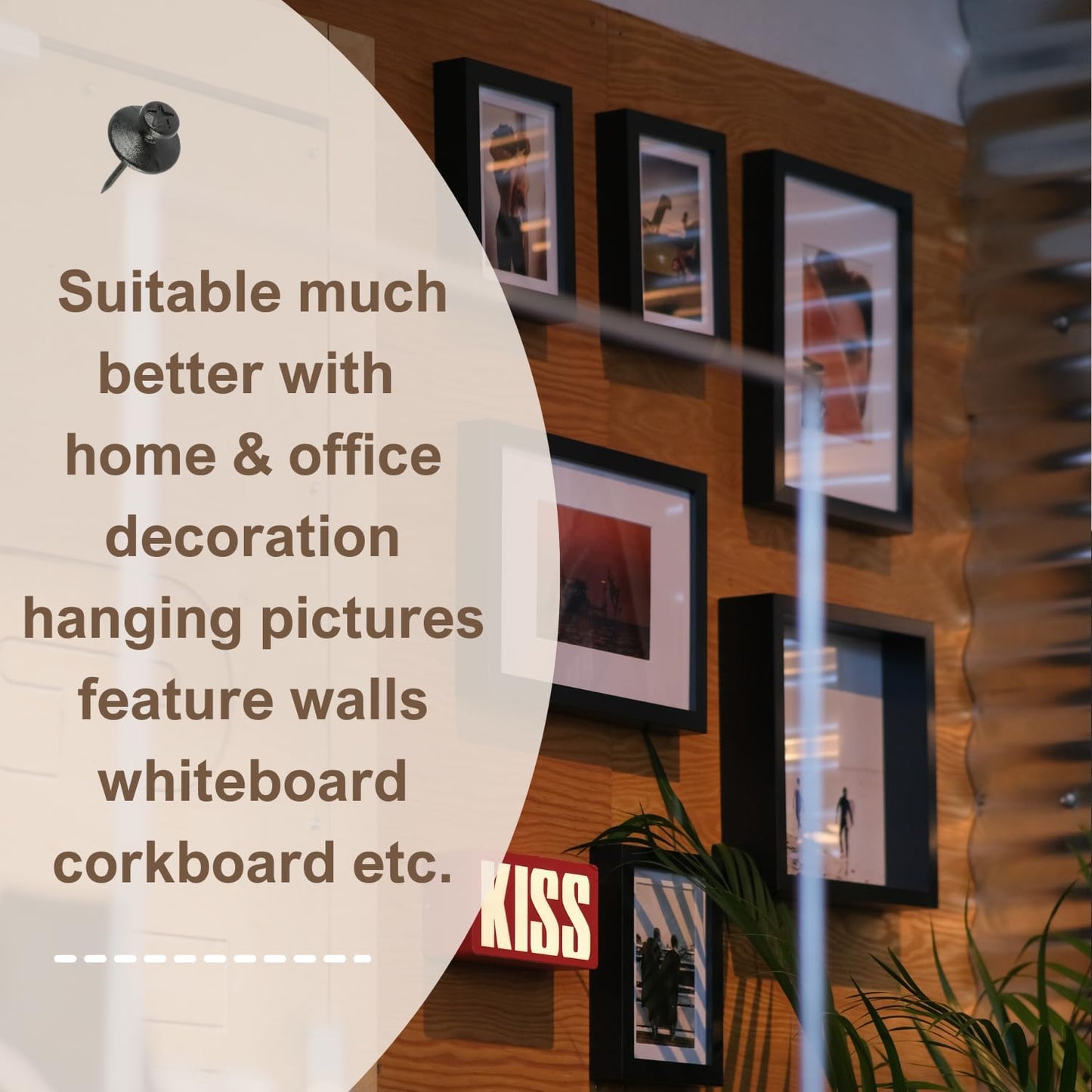 50pcs Black Thumb Tacks - Heavy Duty Double Headed Metal Wall Tacks