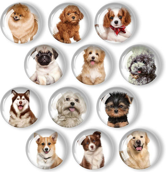 12Pcs Glass Refrigerator Magnet Fridge Sticker,Dog Fridge Magnets Decoration for Crafts,Strong Fridge Magnets for Kitchen, School,Office Whiteboard, Cabinet and Dishwasher