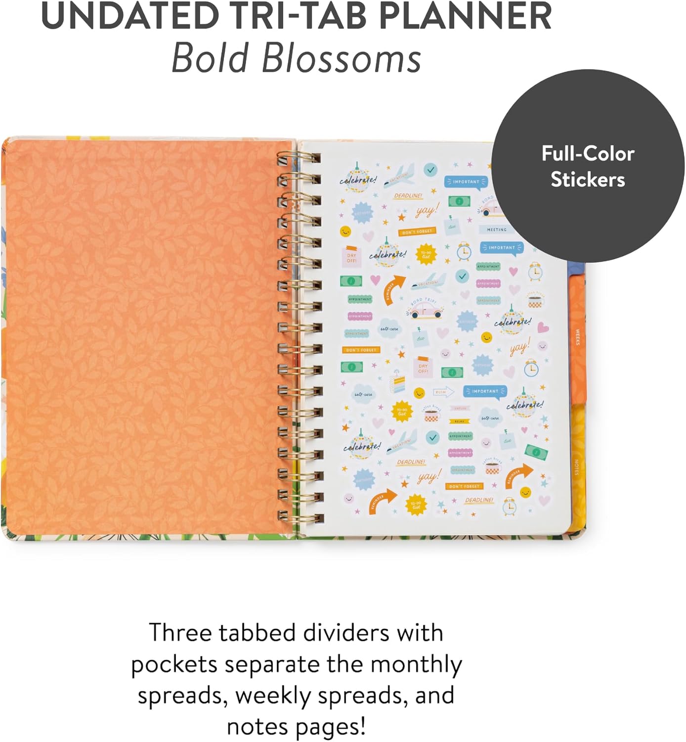 Orange Circle Studio Undated Tri-Tab Academic Planner 2026, Bold Blooms, Daily Notebook Journal, Cute Weekly and Monthly Calendar with Pocket, Stickers, Lined Pages for To Do lists and Planning