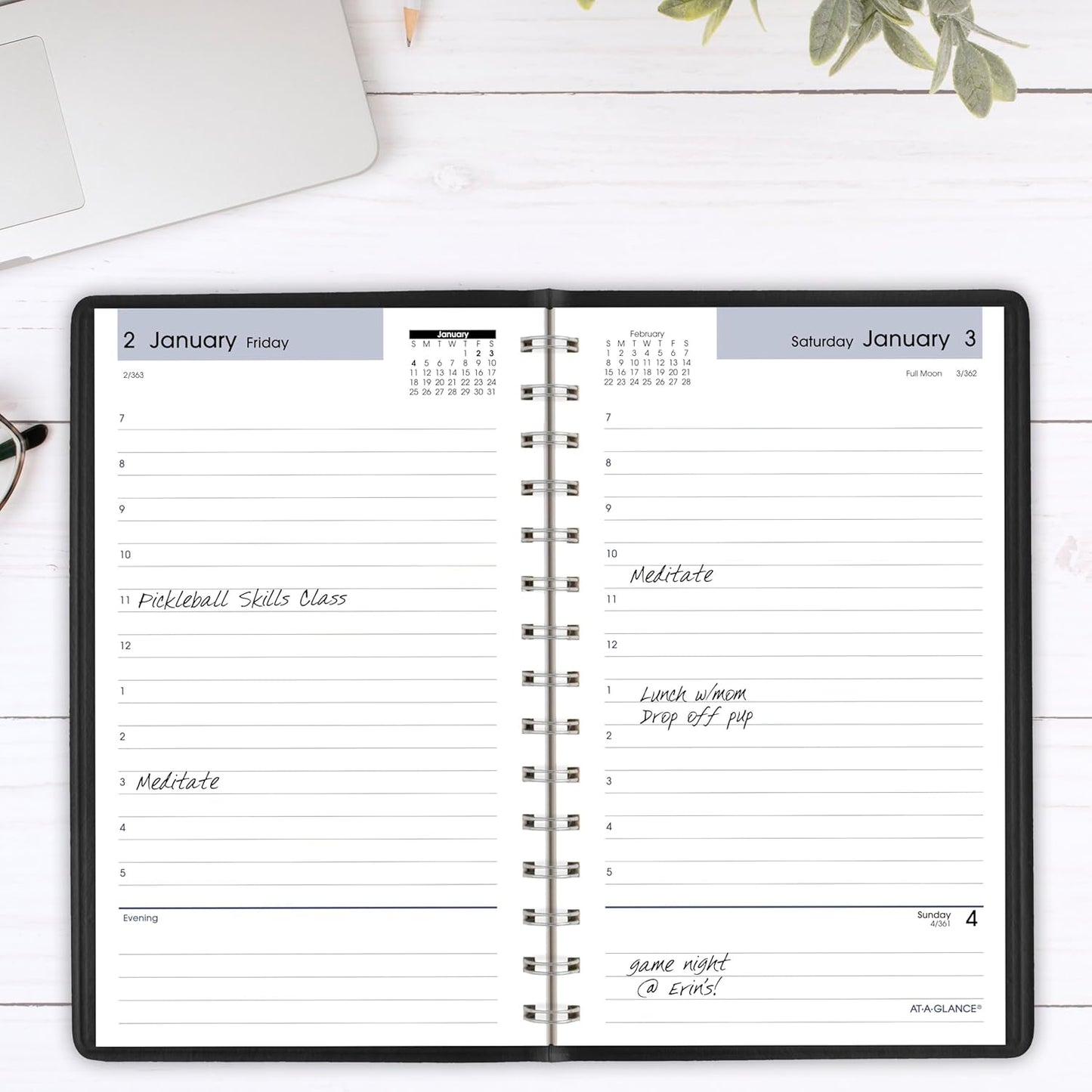 AT-A-GLANCE 2026 Appointment Book Planner, Daily, 5" x 8", Small, Hourly, DayMinder, Black (SK440026)