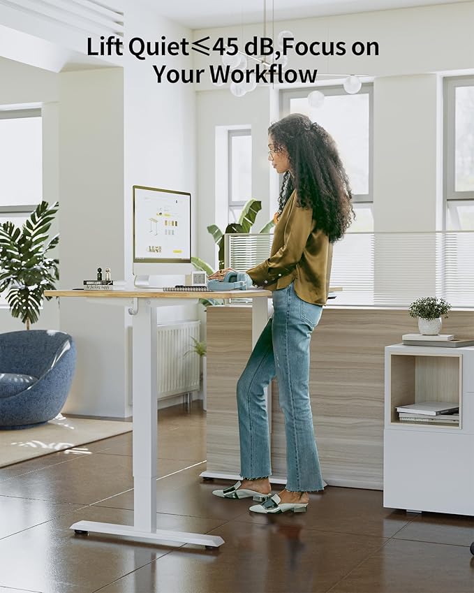 FEZIBO One-Piece Standing Desk Adjustable Height Stand up Home Office Desk, 48x24 Inch Electric Standing Computer Desk, with 4 Memory Presets, Fixable casters, Light Rustic