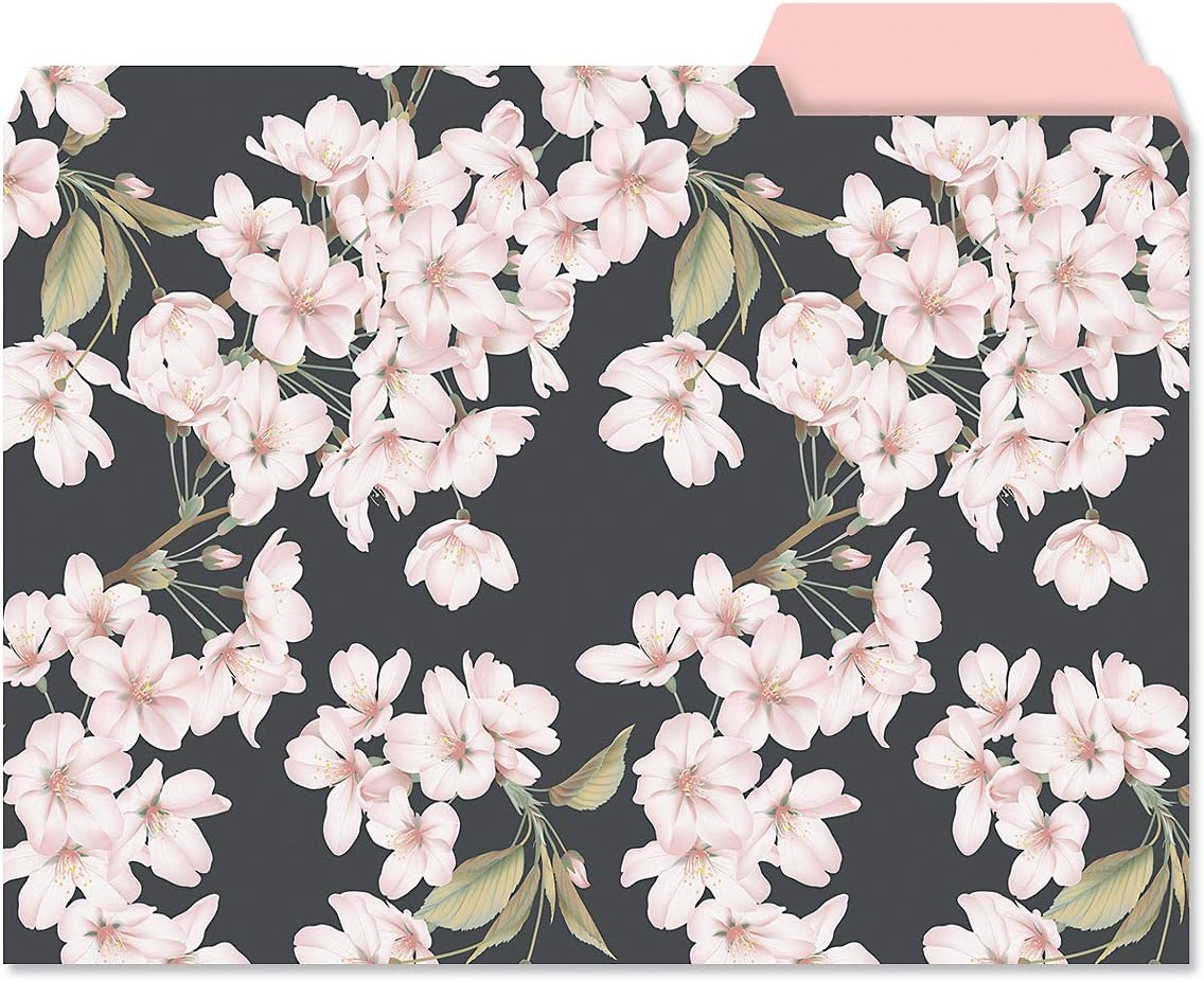 Current Charcoal & Coral File Folders Value Pack - Bulk Set of 24, 6 Pretty Decorative Designs, 1/3 Cut Tabs, Heavy-Duty Paper Stock, Office Supplies for Home & Work, 9-½” x 11-¾” Letter Size