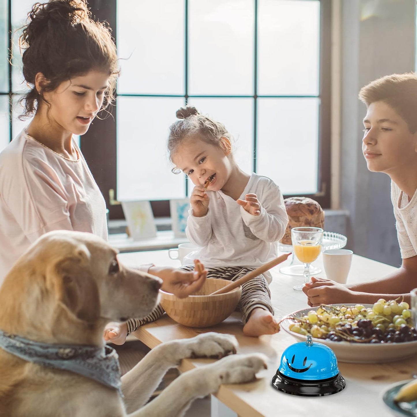 Call Bell, Service Bell Dinner Desk Bell for The Porter Kitchen Restaurant Bar Hotel Schools