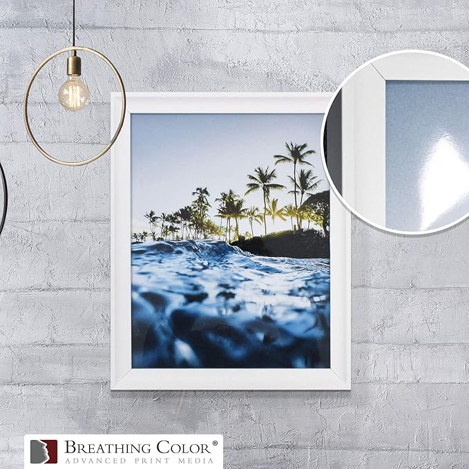 Vibrance Gloss Photo Printer Paper 10 mil 255 gsm Glossy Finish Premium Photo Paper Roll on 3in Core 17 inches x 10 feet Works with Most Inkjet Printers Including Professional Makes and Models