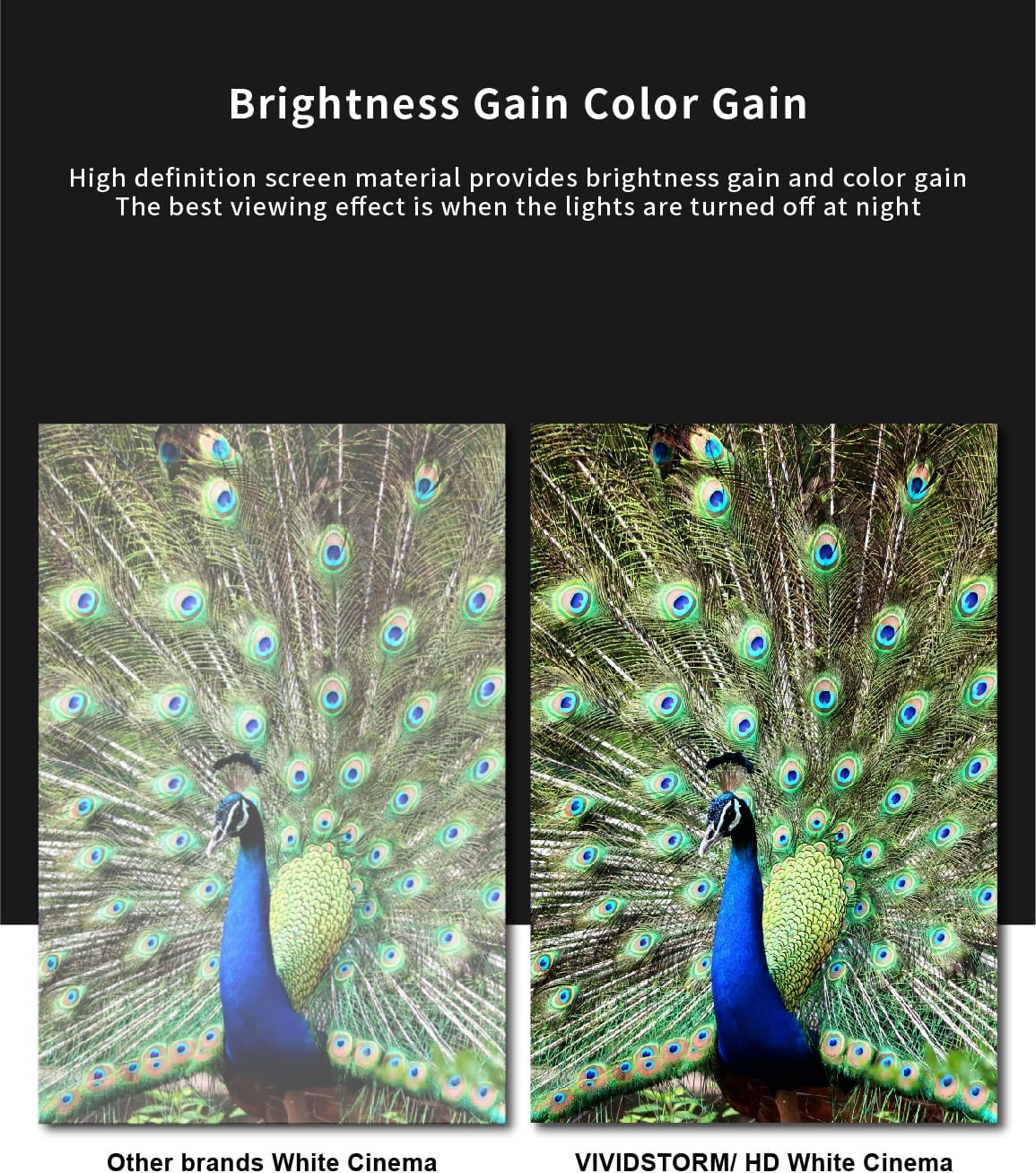 VIVIDSTORM- Projector Screen S 120 Inch Portable Folding Stand Floor Rising Movie Screen Sound Transparent Perforated White Screen Compatible with Ordinary Projector,VWSDSTPW120H