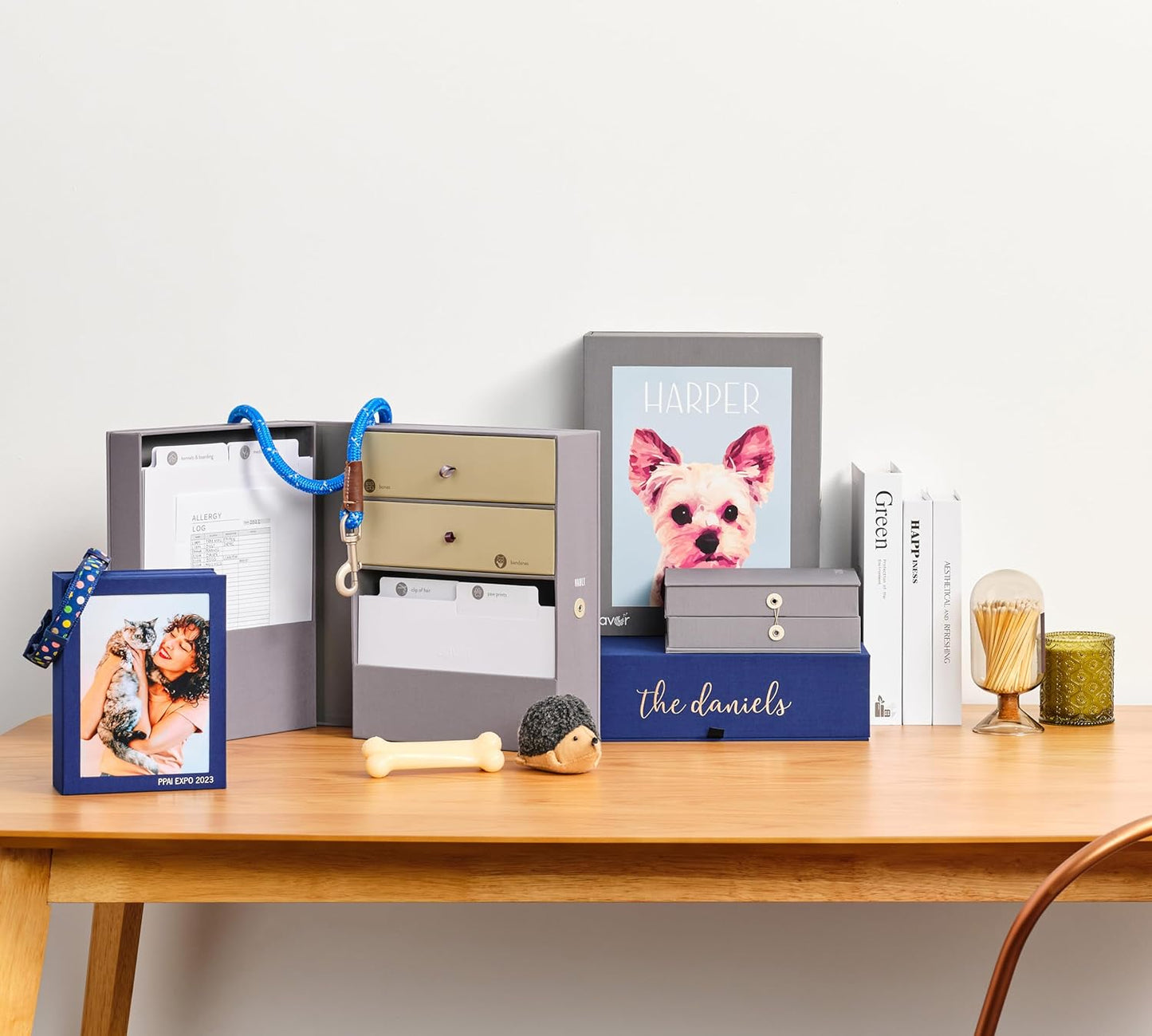Savor | All-in-One Organizer | Gray Keep Vet Records, Tags, Collars and Fido's Favorite Toy Organized or Keep Cherished Pet Memories Safe in One Convenient Home with This Gift for Pet Parents
