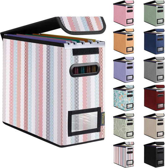 BALEINE File Organizer Box with Lid, Collapsible File Folder Organizer with Plastic Slide, Hanging File Folder Box for Office Document Storage (1 Pack, Color Stripe, S)