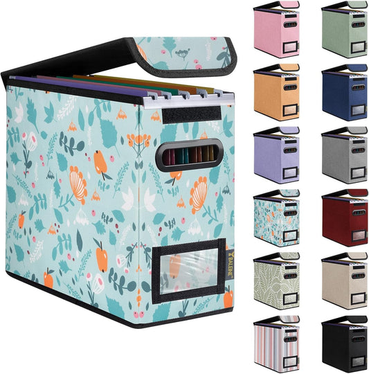 BALEINE File Organizer Box with Lid, Collapsible File Folder Organizer with Plastic Slide, Hanging File Folder Box for Office Document Storage (1 Pack, Spring Stroll, S)