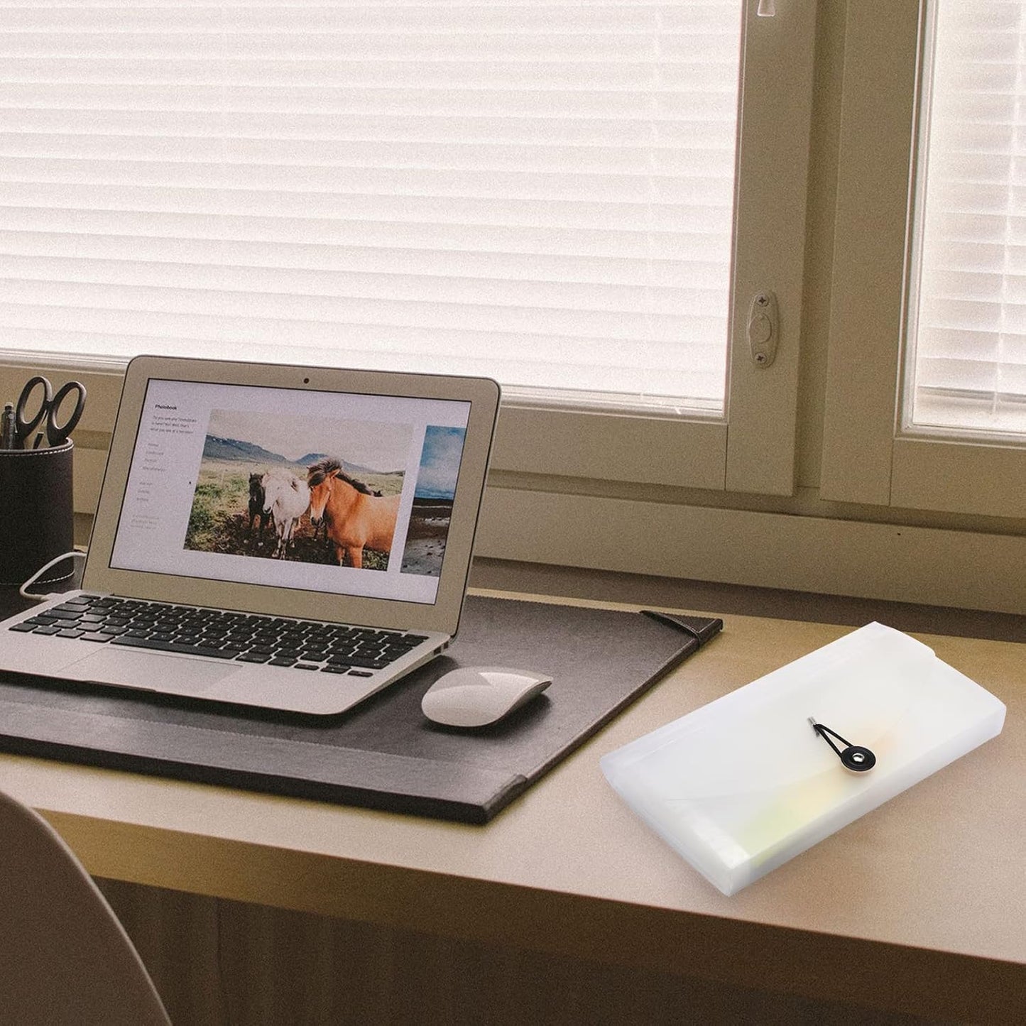 BTSKY Expanding File Folder New 13 Pockets Small Accordion File Expandable Card Ticket Holder Storage Folder Plastic Wallet Case (White Translucent)