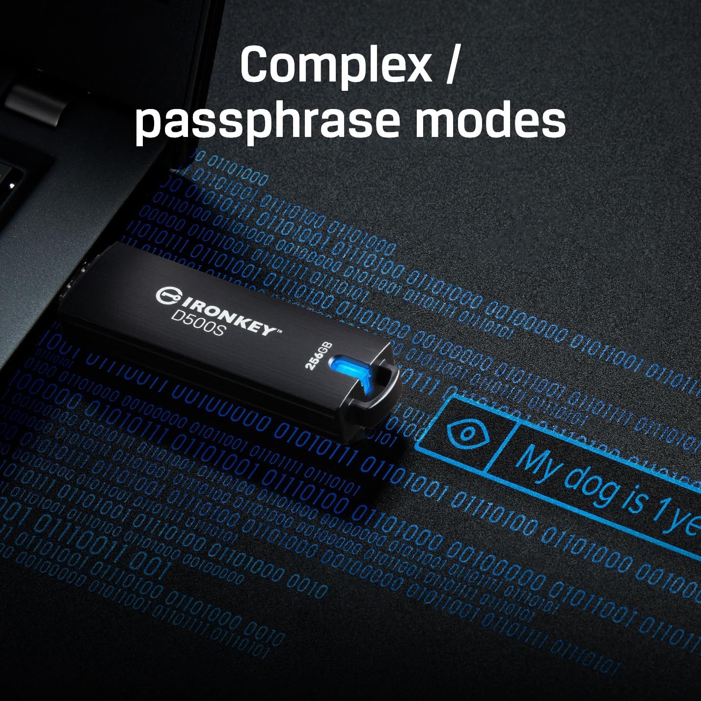 Kingston Ironkey D500S 64GB Encrypted Flash Drive | Dual Hidden Partition | FIPS 140-3 Level 3 | XTS-AES 256-bit | BadUSB and Brute Force Protection | Multi-Pin Option | IKD500S/64GB