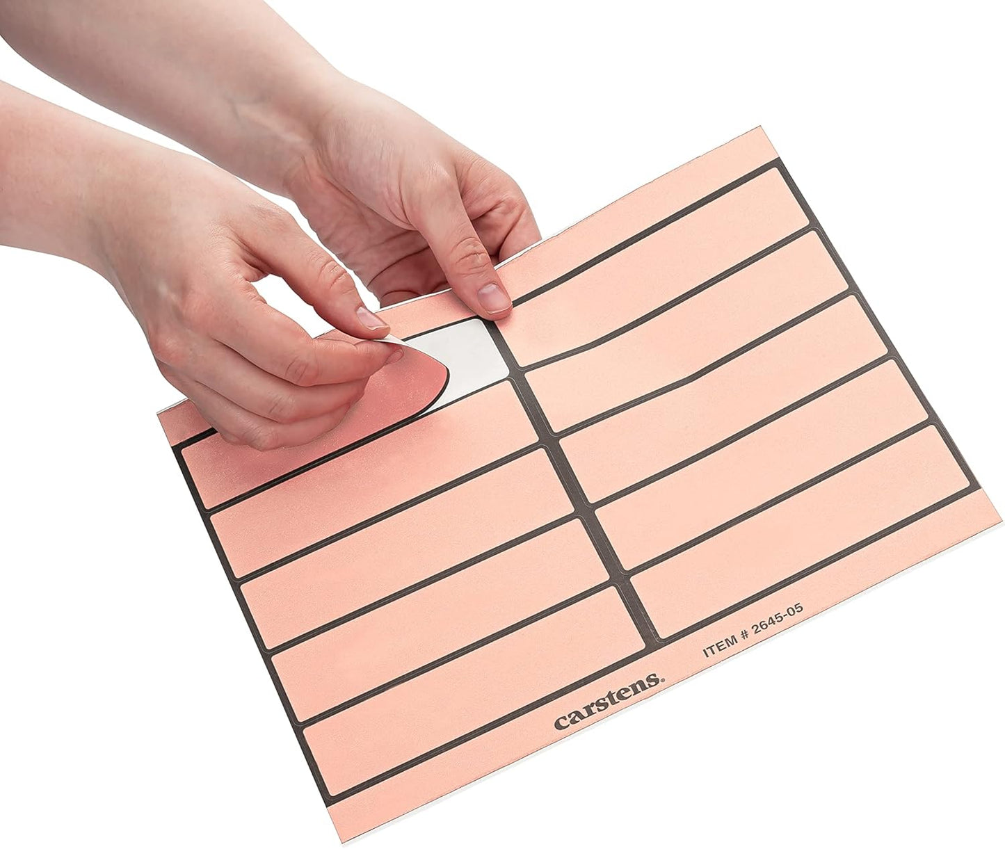 Carstens Adhesive Binder Labels, 5 3/8” x 1 3/8”, Stickers for 1.5” – 4” Ring Binder Spines, Inkjet and Laser Printer Compatible, Pink, 20 Sheets, 10 Labels Per Sheet