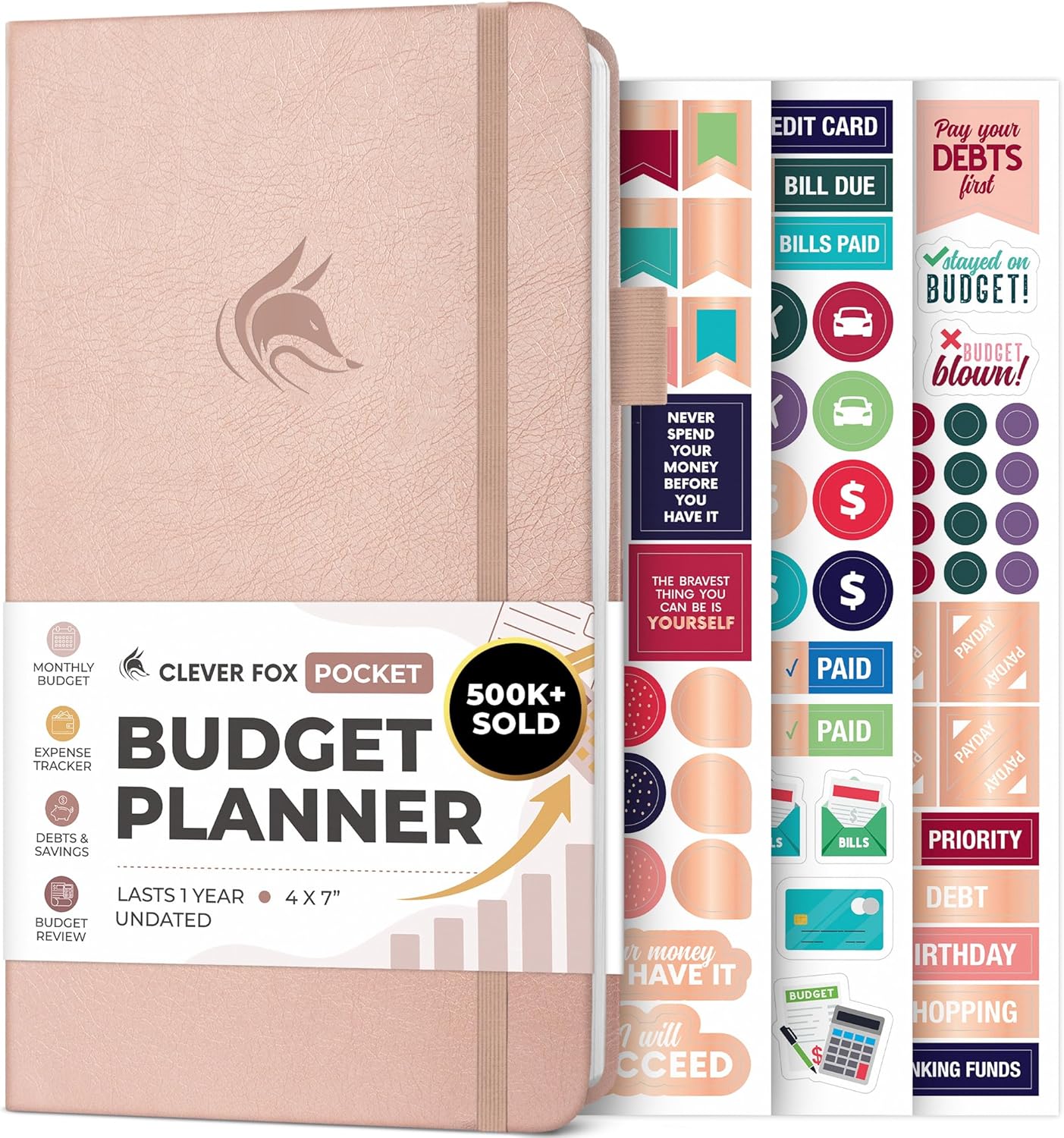 Clever Fox Budget Planner Pocket – Mini Expense Tracker Notebook. Monthly Budgeting Organizer, Finance Logbook & Accounts Book, Small (Rose Gold)