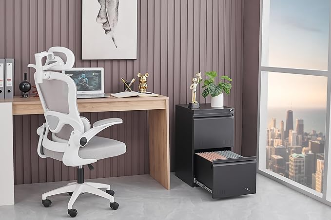 2 Drawer File Cabinet with Lock, Vertical File Cabinets for Home Office, Printer Stand, Heavy Duty Steel Office Storage Cabinet for Letter/Legal/A4, Assembly Required(Black)