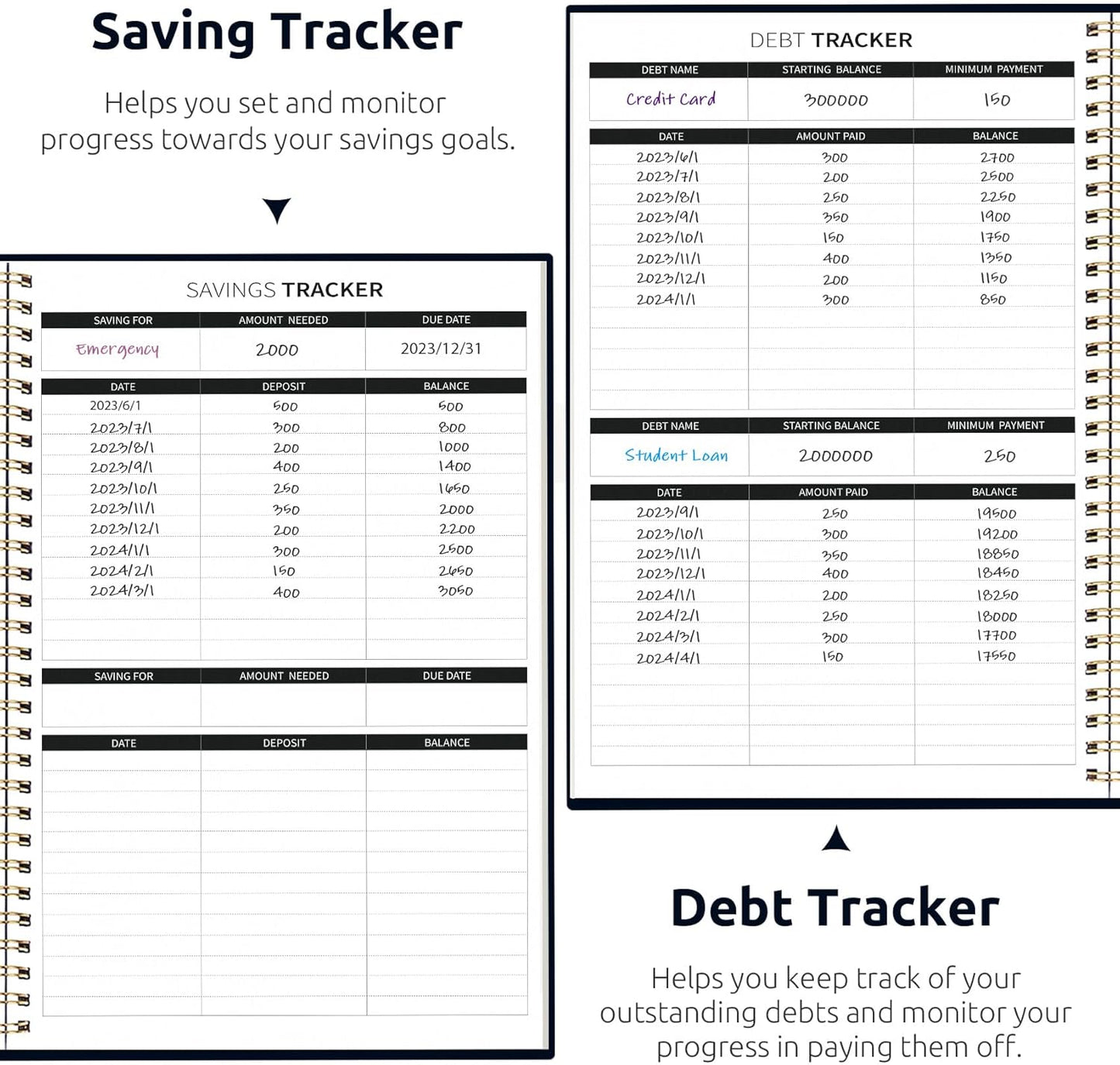 Aesthetic Budget Planner - Monthly Finance Planner with Expense Tracker Notebook, Undated Bill Organizer to Manage Your Finances, Account Book with Colorful Pattern-Garden of Whimsy