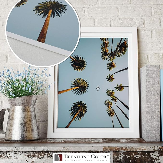 Vibrance Matte Photo Printer Paper 12 mil 230 gsm Matte Finish Premium Photo Paper Roll on 3in Core 36 inches x 100 ft Works with Most Inkjet Printer Professional Makes and Models Like Epson Canon HP