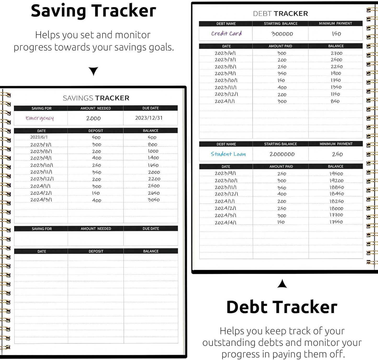 Aesthetic Budget Planner - Monthly Finance Planner with Expense Tracker, Undated Bill Organizer, Budget Notebook to Manage Your Finances, Account Budget Book with Colorful Pattern - Peony Bloom