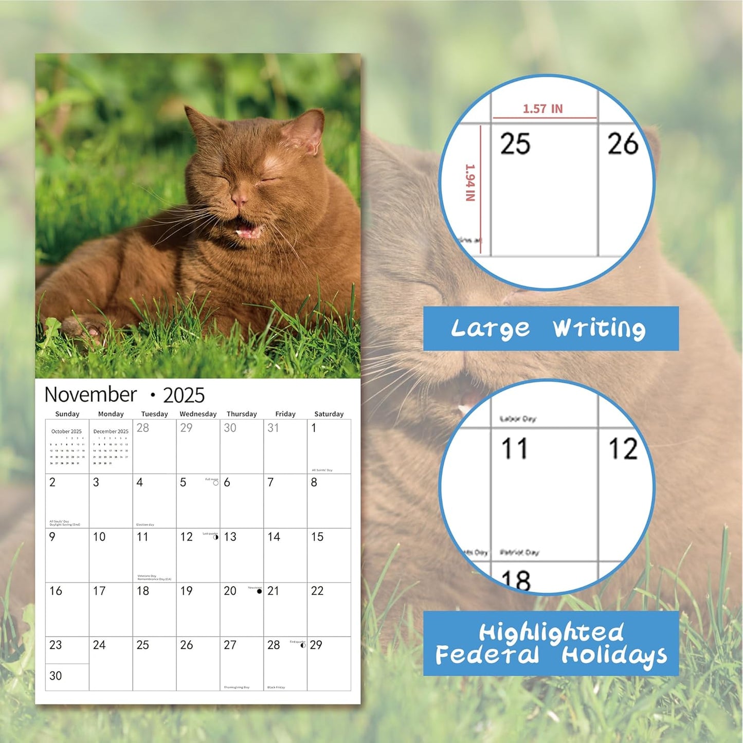 2025 Wall Calendar,Funny Calendar 2025, January 2025 - December 2025, Wall Calendar Funny Animal Memes, 12" x 24" Opened, Full Page 12 Months Thick Paper for Gift Calendar Organizing Planning