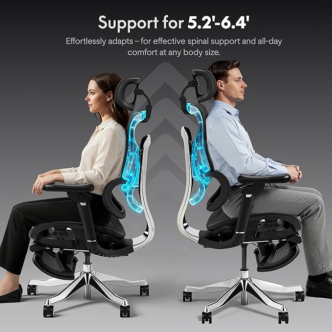 FLEXISPOT ErgoX Max Ergonomic Office Chair Black - Aluminum Alloy Frame & Base, 661 lb Capacity, 5D Armrests, 4D Adaptive Lumbar & 4D Headrest